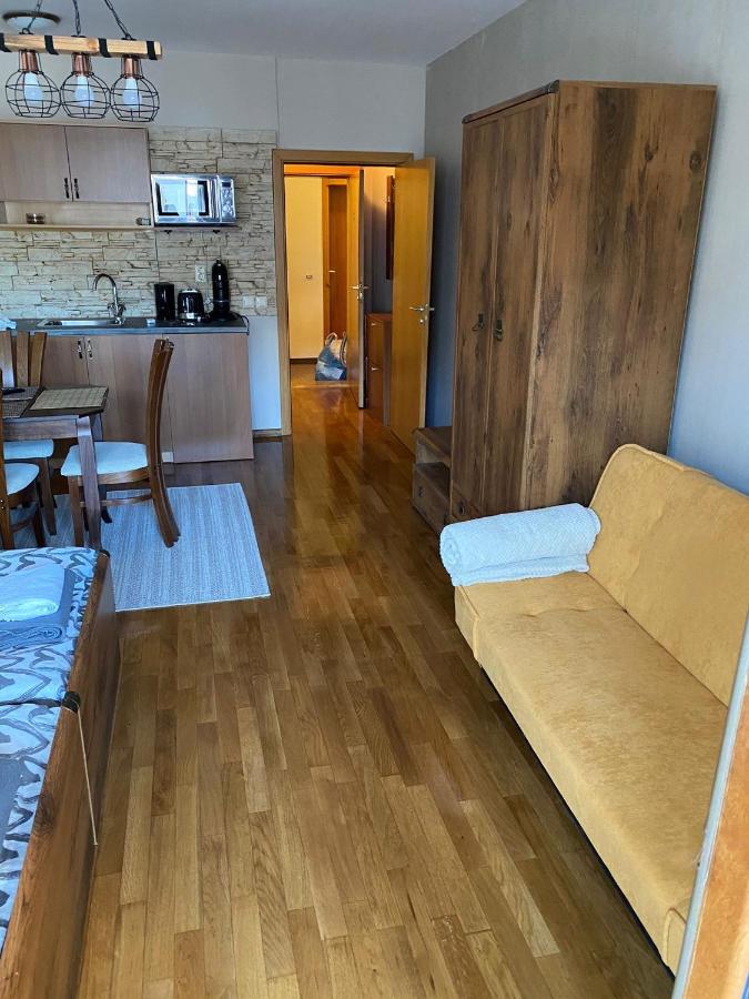 Bansko Spa Studio At Predela1 מראה חיצוני תמונה
