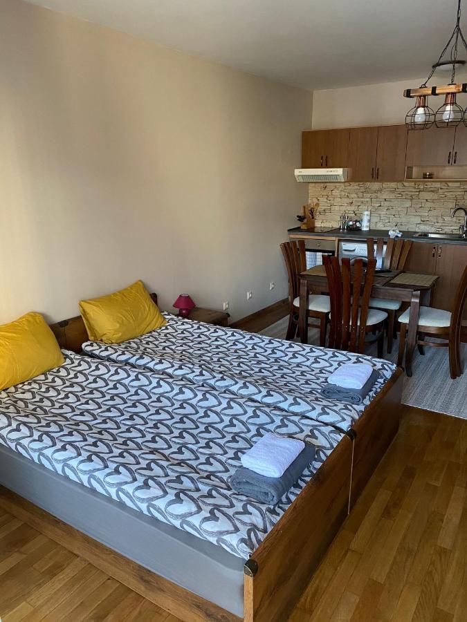 Bansko Spa Studio At Predela1 מראה חיצוני תמונה